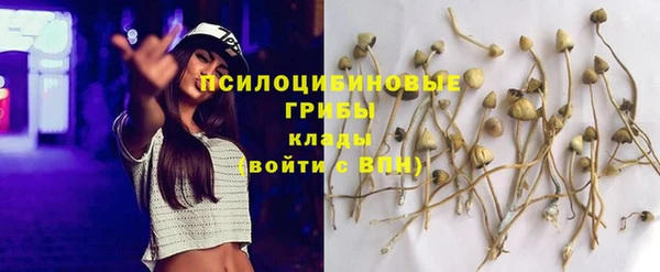 синтетический гашиш Галич