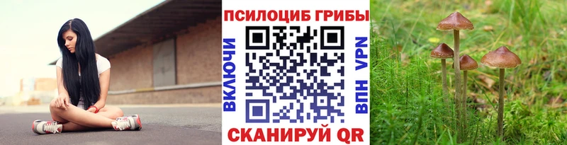 купить закладку  Сорск  Галлюциногенные грибы MAGIC MUSHROOMS 